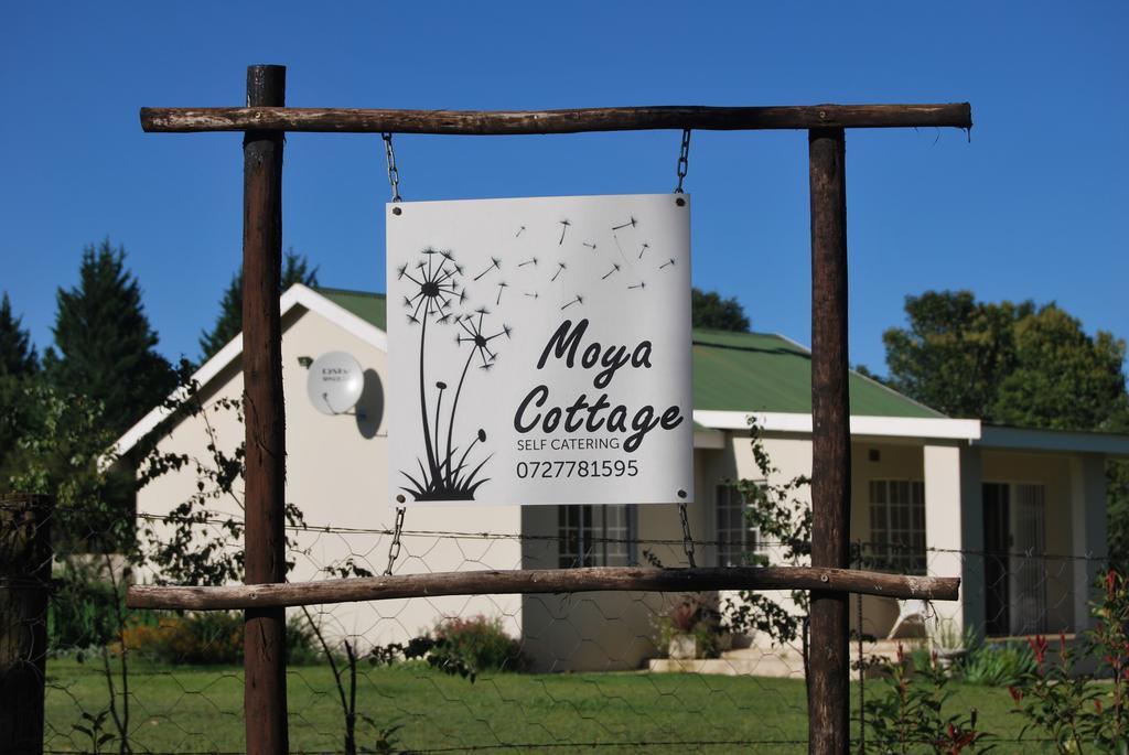 Moya Cottage Underberg Quarto foto